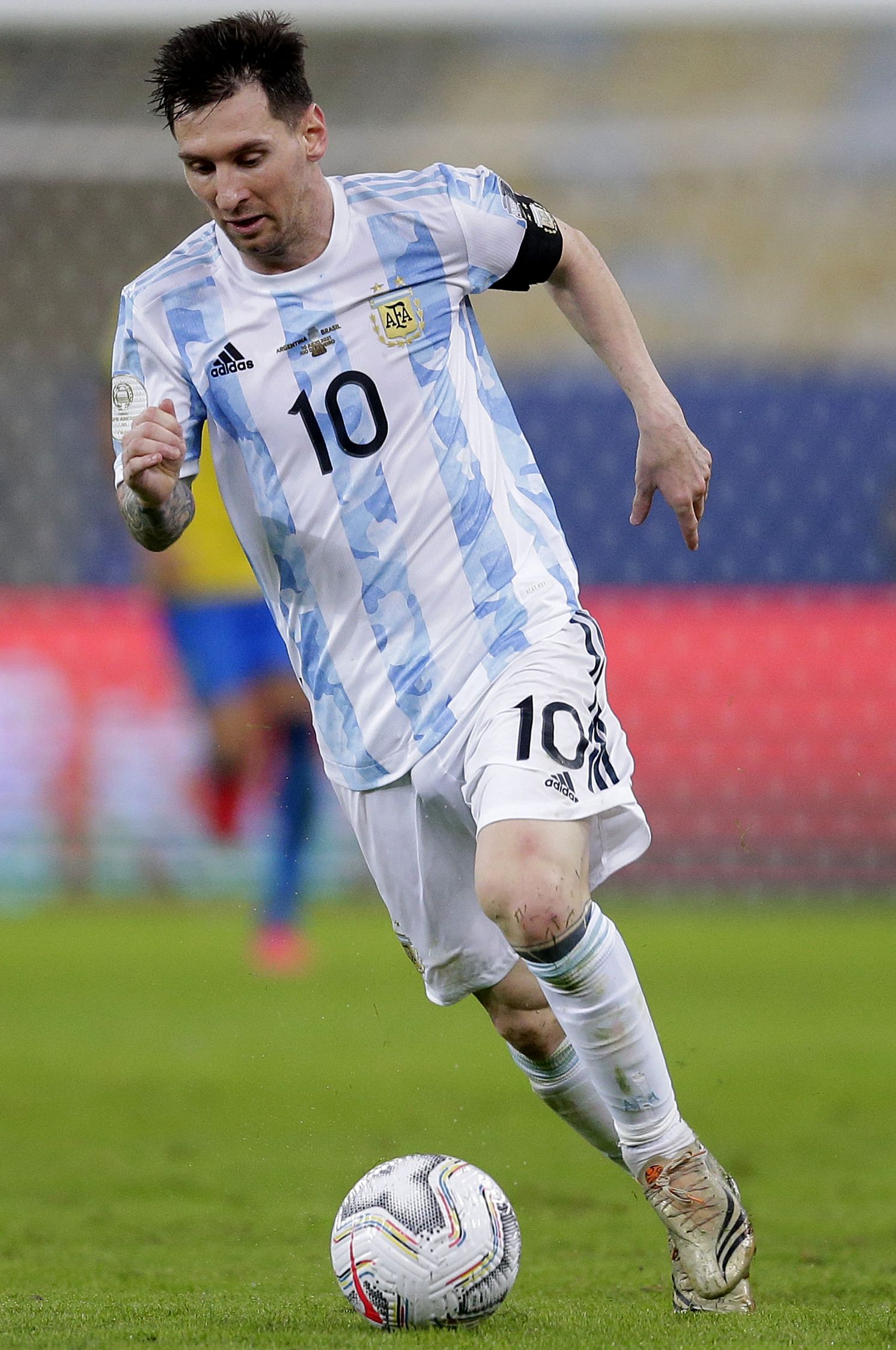 也有绿色象 也有绿色象